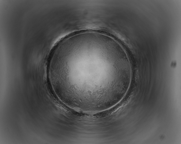 X0000100761214200806191159