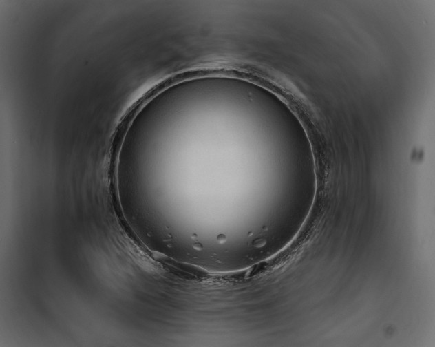 X0000100761216200806191159