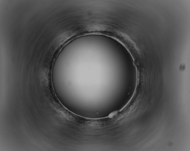 X0000100761217200806191159