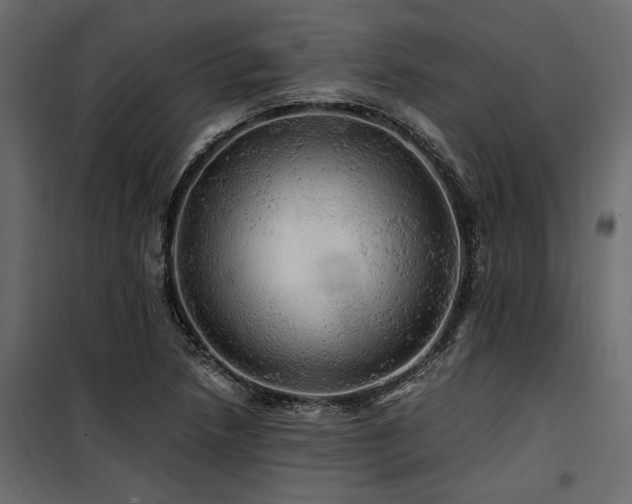 X0000100761218200806191159