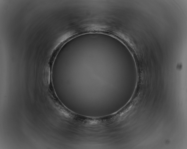 X0000100761219200806191159