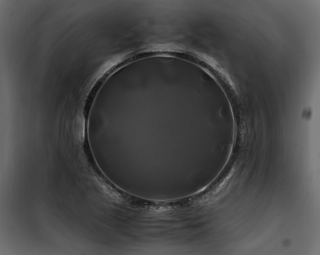 X0000100761221200806191159