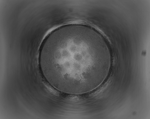 X0000100761222200806191159