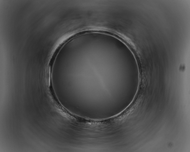 X0000100761223200806191159