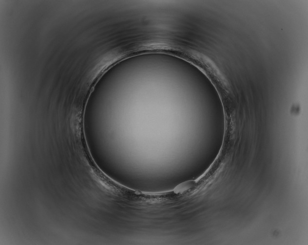 X0000100761225200806191159