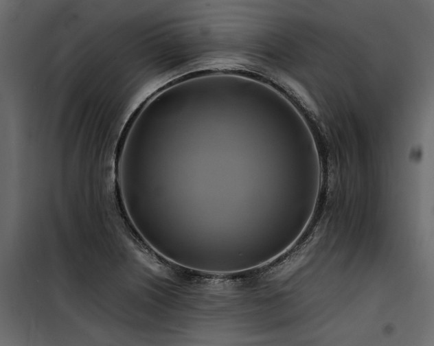 X0000100761226200806191200