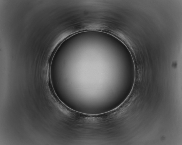 X0000100761227200806191200