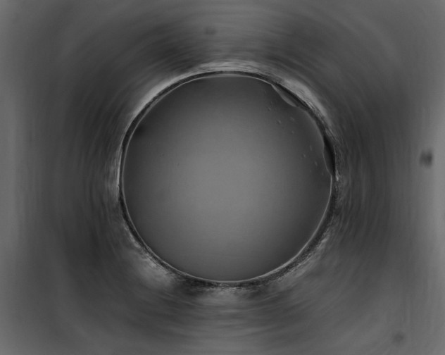 X0000100761228200806191200