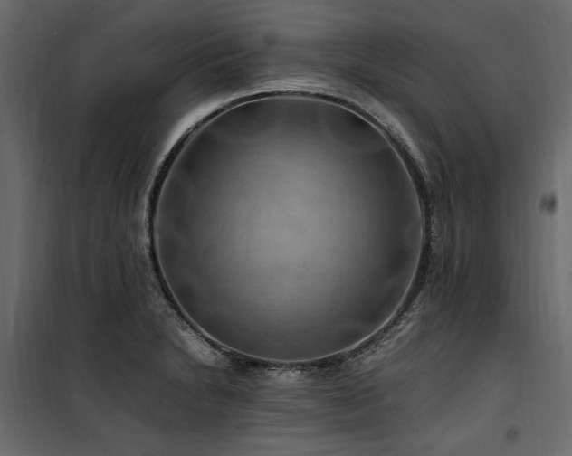 X0000100761230200806191200