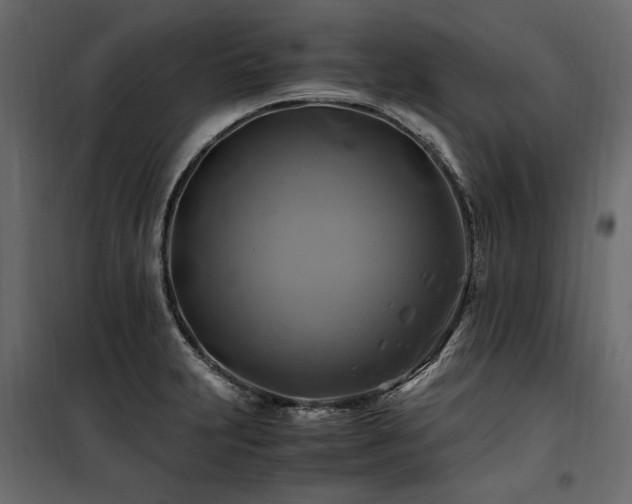 X0000100761231200806191200