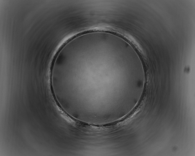 X0000100761232200806191200