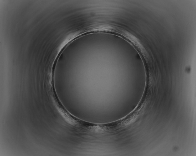 X0000100761234200806191200