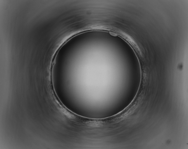 X0000100761236200806191200