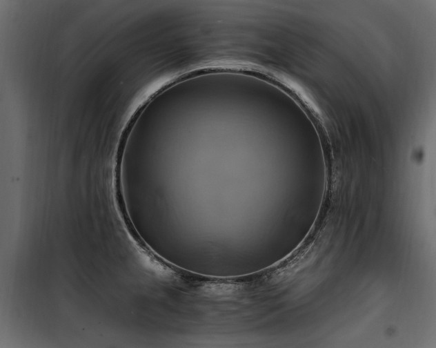 X0000100761237200806191200