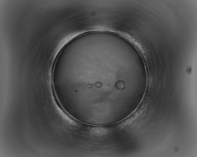 X0000100761239200806191200