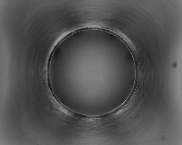 X0000100761240200806191200