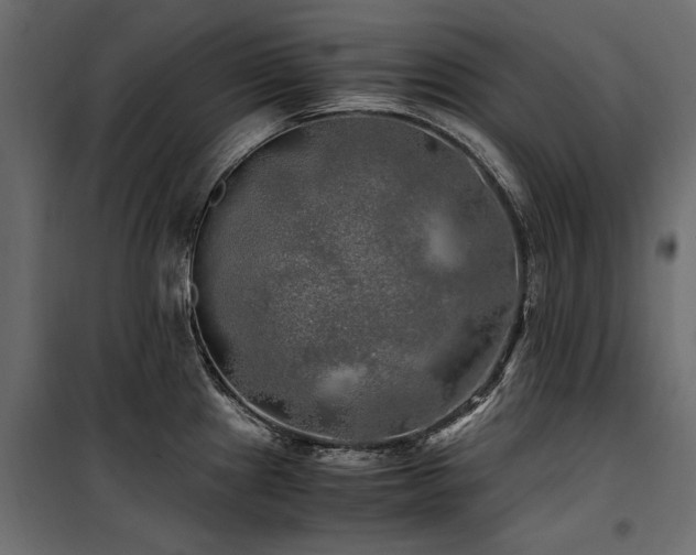 X0000100761241200806191200