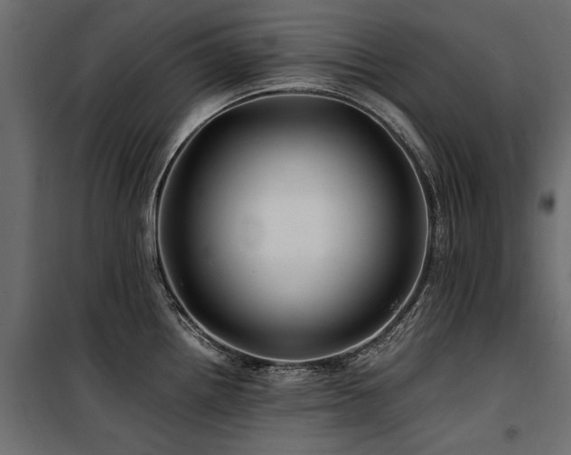 X0000100761242200806191200