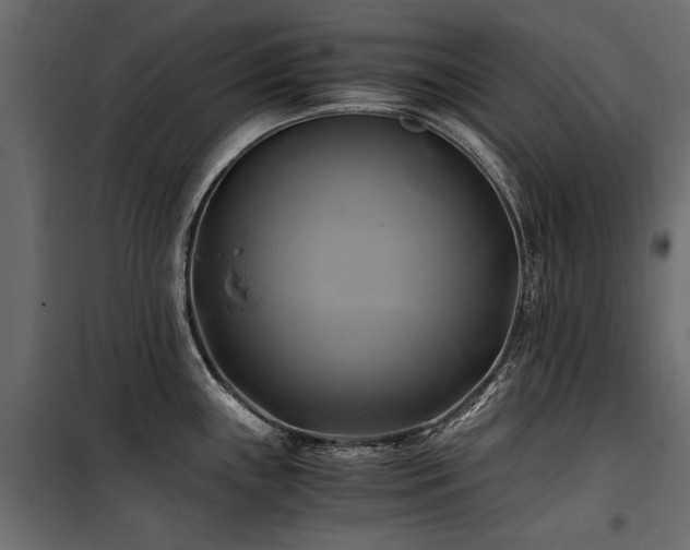 X0000100761243200806191200