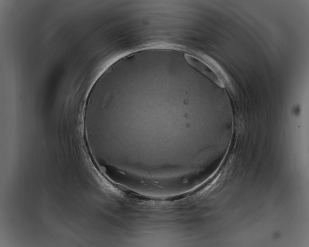 X0000100761244200806191200