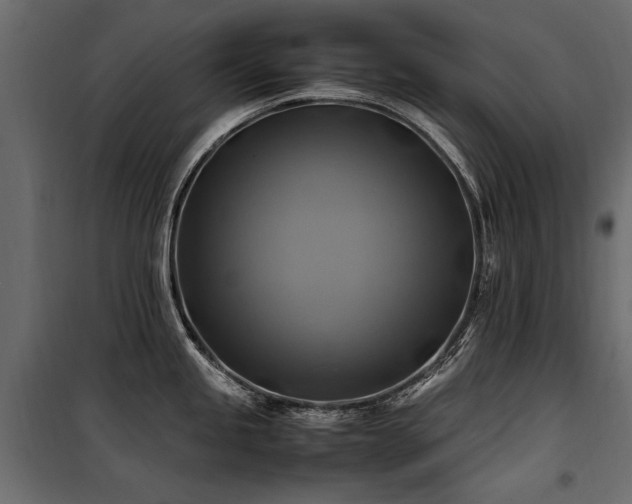 X0000100761245200806191200