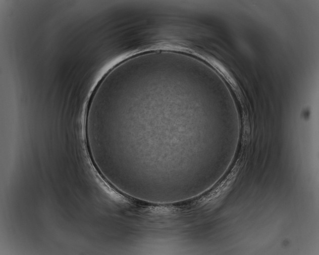 X0000100761246200806191200