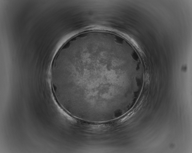 X0000100761247200806191200