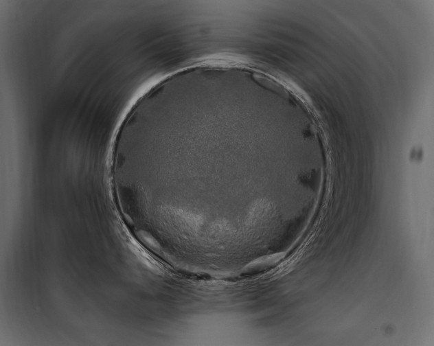 X0000100761248200806191200