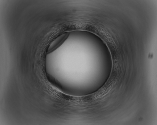 X0000100761249200806191159