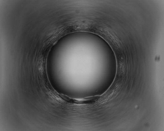 X0000100761250200806191159