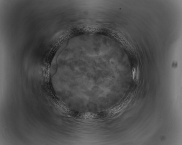 X0000100761251200806191159