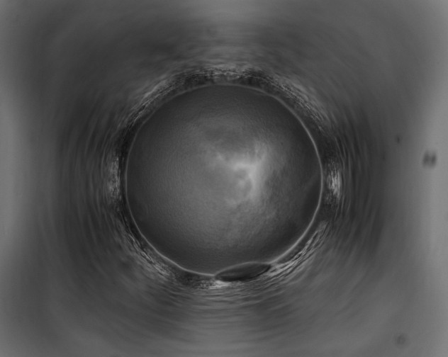 X0000100761252200806191159