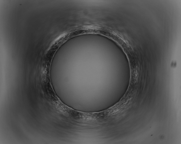 X0000100761254200806191159