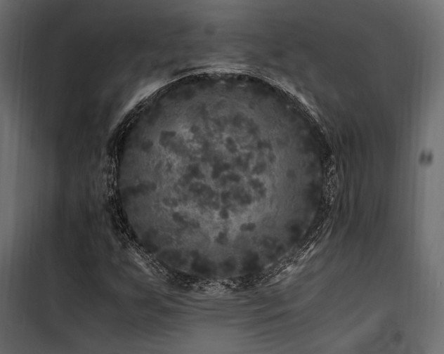 X0000100761255200806191159