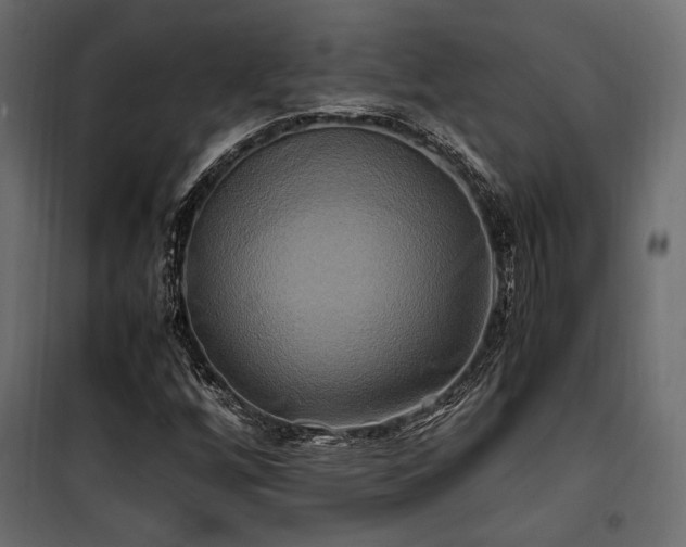 X0000100761256200806191159