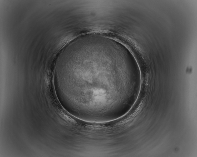 X0000100761257200806191159