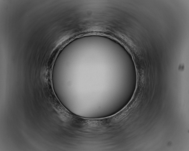 X0000100761258200806191159