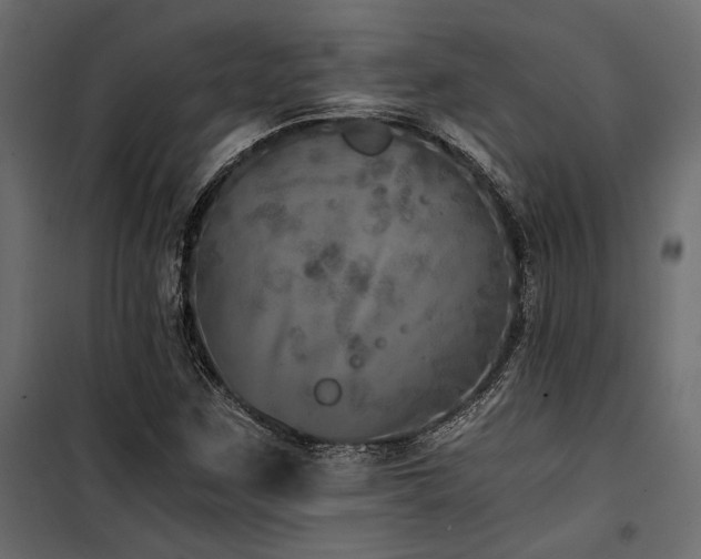 X0000100761259200806191159