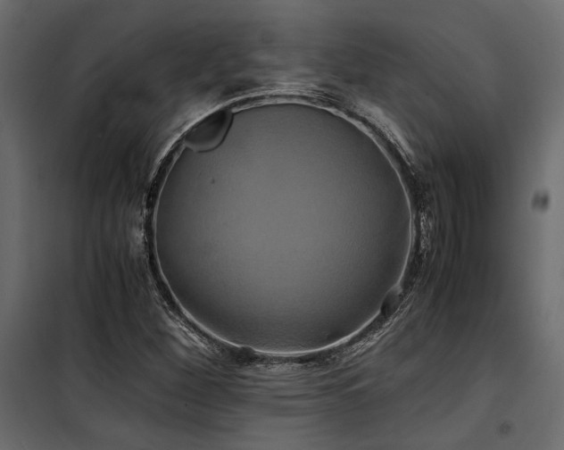 X0000100761260200806191159