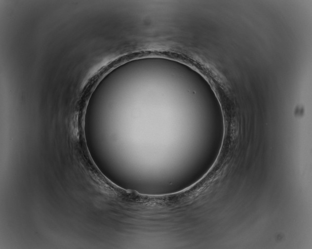 X0000100761262200806191159