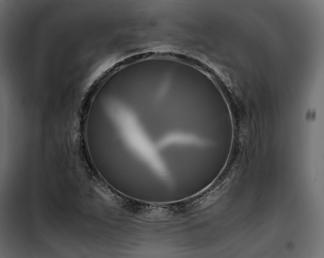 X0000100761263200806191159