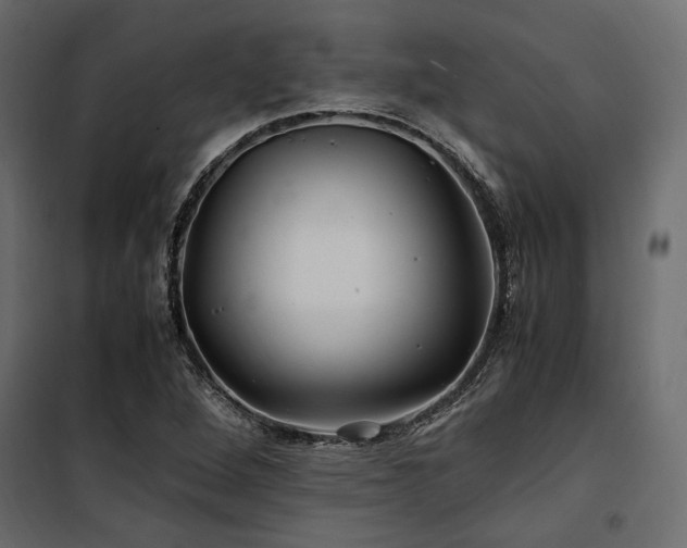 X0000100761264200806191159