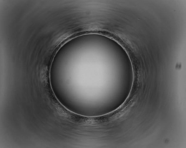 X0000100761265200806191159