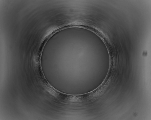 X0000100761266200806191159