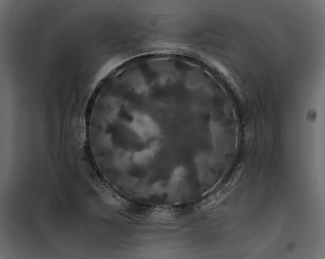 X0000100761267200806191159