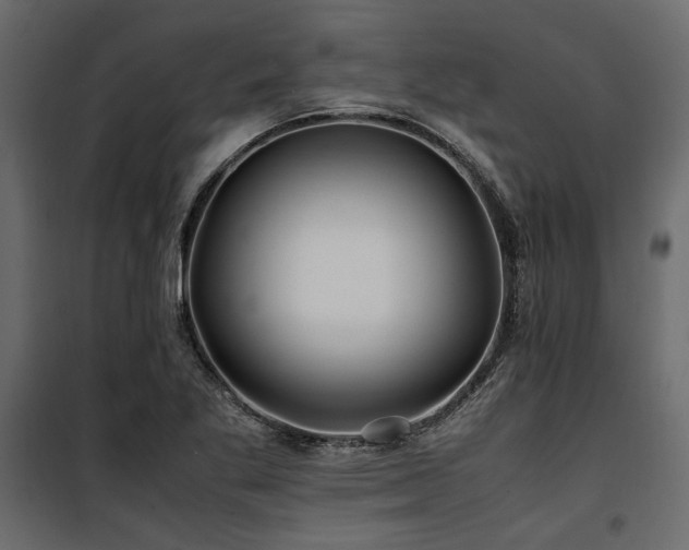 X0000100761269200806191159