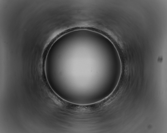 X0000100761270200806191159