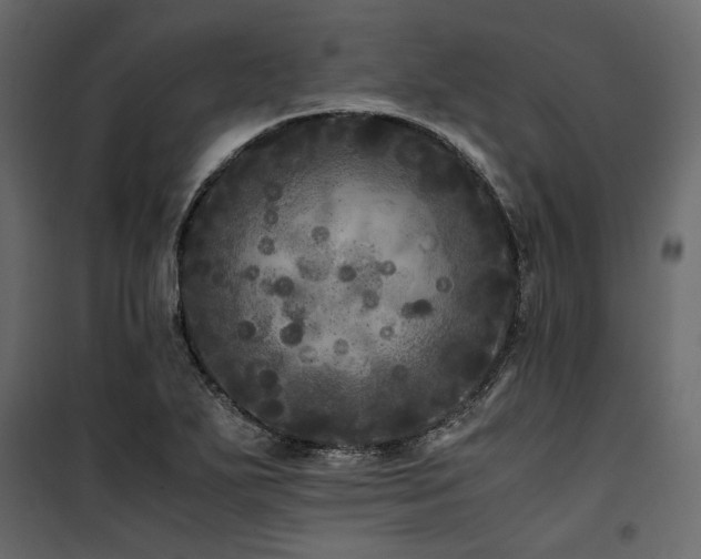 X0000100761271200806191159