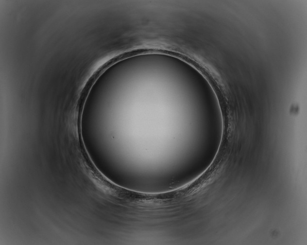 X0000100761272200806191159