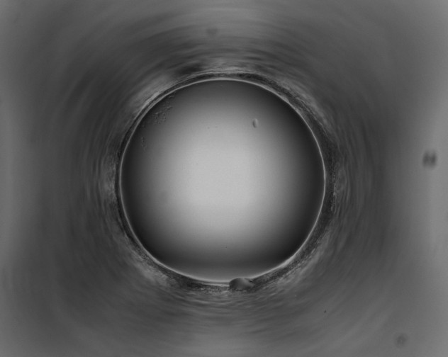 X0000100761273200806191159